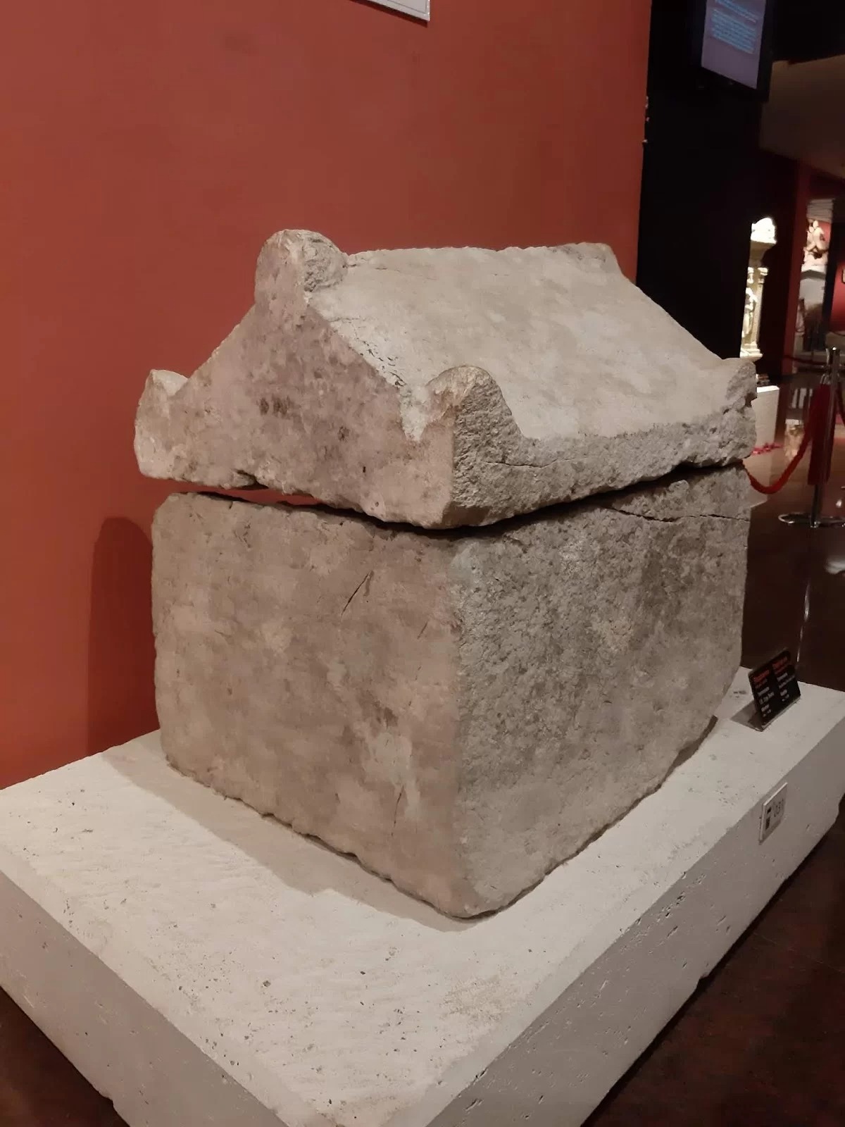 Termessos’tan bir hayvan lahdi: Köpek Stephanos